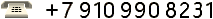 Т.: +7 910 990 8231